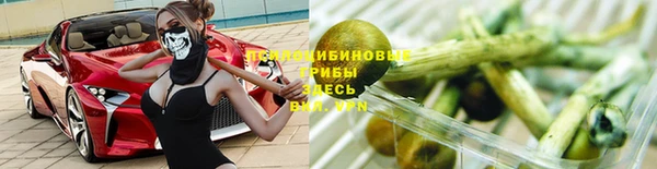 дурь Волосово