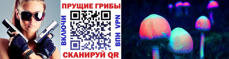 Купить где  Гвардейск  Галлюциногенные грибы прущие грибы 